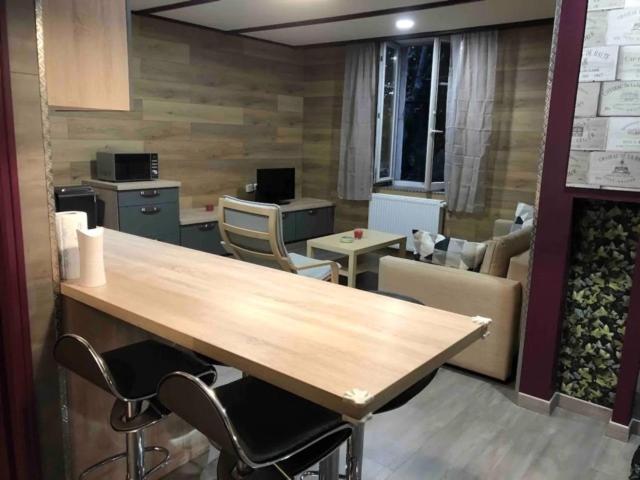 Deux Beaux Appartements En Plein Coeur De Dijon ディジョン エクステリア 写真